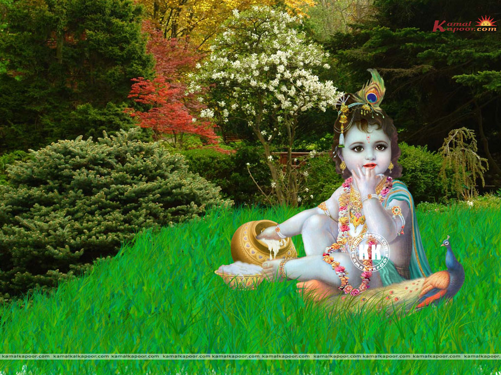 Bal Krishna Wallpaper